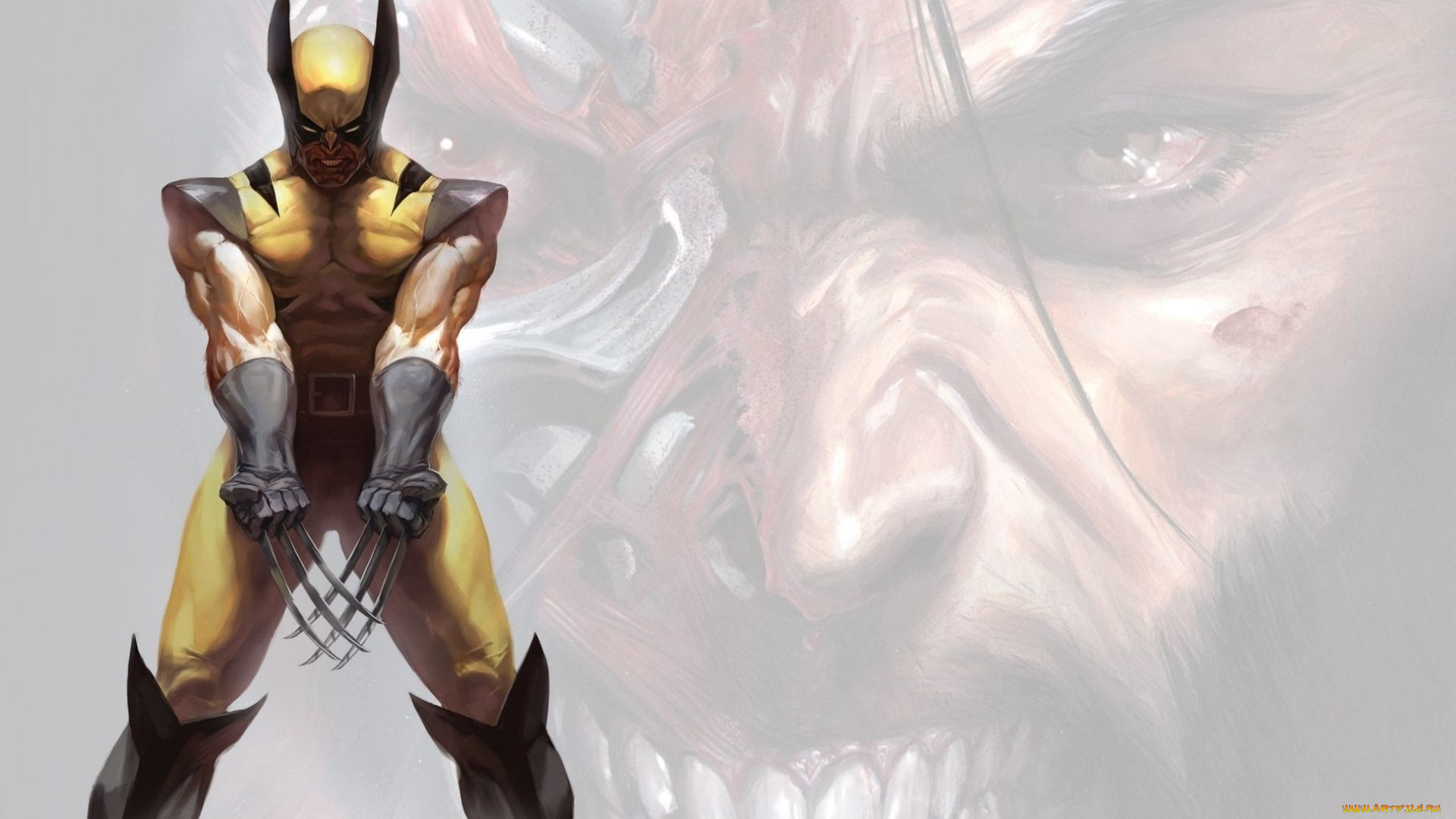 , , , wolverine, 